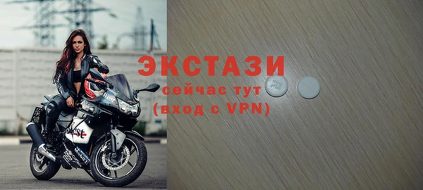 МДПВ Рославль