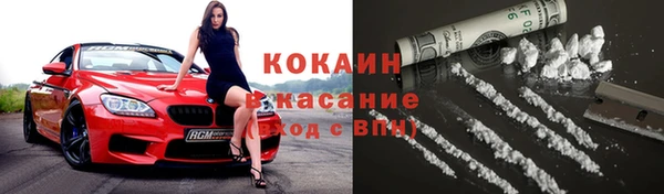 шишки Абинск