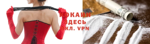 шишки Абинск