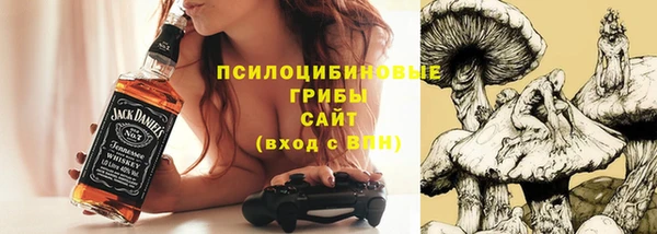 трава Абаза