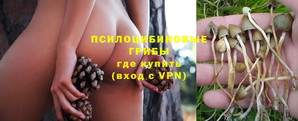 трава Абаза